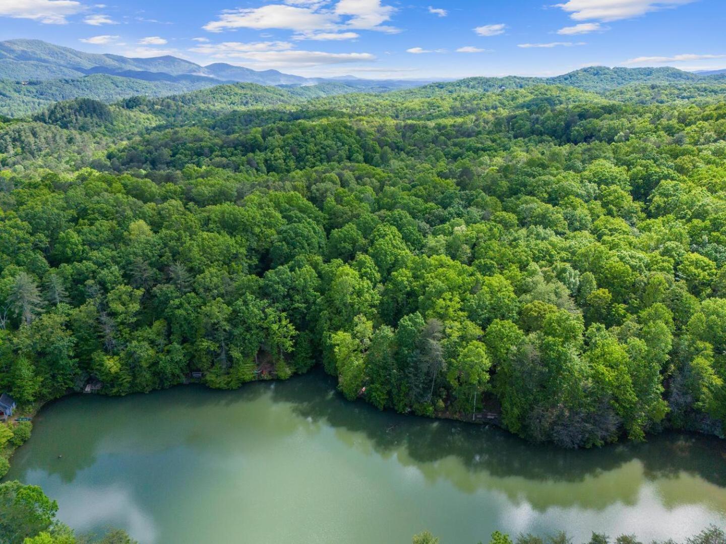 Cherry Lake Hideaway Blue Ridge Exterior foto